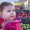 I want a red apple and a green apple and...<br><div class='photoDatesPopup'><br>from Emily's Photos taken 10/29/2005 and posted 10/31/2005</div>