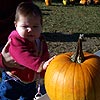 You are the best pumpkin ever.  I picked you out all by myself.<br><div class='photoDatesPopup'><br>from Emily's Photos taken 10/29/2005 and posted 10/31/2005</div>