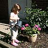 I have to water Mamaw's flowers every time I come over.  It is a lot of work.<br><div class='photoDatesPopup'><br>from Emily's Photos taken 5/13/2007 and posted 6/20/2007</div>