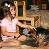 Nummy loves it when I brush him.<br><div class='photoDatesPopup'><br>from Emily's Photos taken 6/21/2007 and posted 8/21/2007</div>