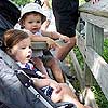 Cullen and I are looking at some monkeys at the zoo.<br><div class='photoDatesPopup'><br>from Emily's Photos taken 6/17/2006 and posted 7/13/2006</div>