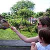 That giraffe sure has a long tongue.  You better go wash your hands, Mom.<br><div class='photoDatesPopup'><br>from Emily's Photos taken 6/17/2006 and posted 7/13/2006</div>