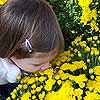 Dad, smell these pretty flowers.<br><div class='photoDatesPopup'><br>from Emily's Photos taken 9/30/2006 and posted 10/2/2006</div>