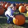 Ahh.  Good pumpkin.  <br><div class='photoDatesPopup'><br>from Emily's Photos taken 10/21/2006 and posted 11/8/2006</div>