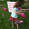 I love the flamingos.<br><div class='photoDatesPopup'><br>from Emily's Photos taken 4/25/2008 and posted 6/4/2008</div>