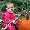 I love the pumpkin patch.<br><div class='photoDatesPopup'><br>from Elise's Photos taken 10/18/2008 and posted 10/27/2008</div>