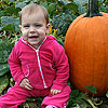 This pumpkin is just my size.<br><div class='photoDatesPopup'><br>from Elise's Photos taken 10/18/2008 and posted 10/27/2008</div>