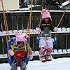 Swinging in the snow is fun.<br><div class='photoDatesPopup'><br>from Elise's Photos taken 12/28/2009 and posted 1/2/2010</div>