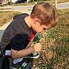 Stopping to blow the dandelions.<br><div class='photoDatesPopup'><br>from Emerson's Photos taken 8/31/2015 and posted 11/1/2015</div>