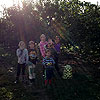 Cousin time and apple picking.  Life doesn't get much better.<br><div class='photoDatesPopup'><br>from Emerson's Photos taken 9/12/2015 and posted 11/1/2015</div>