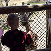 The giraffe loves all of the veggies I hate.<br><div class='photoDatesPopup'><br>from Emerson's Photos taken 3/22/2016 and posted 11/1/2016</div>