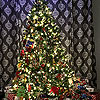 Tree is all ready for Christmas tomorrow.<br><div class='photoDatesPopup'><br>from David's Photos taken 12/24/2018 and posted 2/6/2019</div>