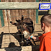 My little Peanut feeding Peanut the donkey.<br><div class='photoDatesPopup'><br>from Elias' Photos taken 7/11/2019 and posted 7/31/2019</div>