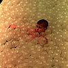 Ball pit acting like he can't move.<br><div class='photoDatesPopup'><br>from Elias' Photos taken 10/14/2019 and posted 11/21/2019</div>