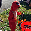 Angry Bird trick or treating.<br><div class='photoDatesPopup'><br>from Elias' Photos taken 10/27/2019 and posted 11/21/2019</div>