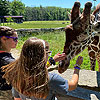 The kids loved seeing the giraffe.<br><div class='photoDatesPopup'><br>from Elise's Photos taken 6/16/2020 and posted 8/26/2020</div>