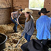 Cleaning the stalls.<br><div class='photoDatesPopup'><br>from Elise's Photos taken 3/27/2021 and posted 1/7/2022</div>