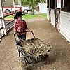 Putting down some hay.<br><div class='photoDatesPopup'><br>from Emerson's Photos taken 3/27/2021 and posted 1/7/2022</div>