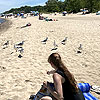 Seagull whisperer.<br><div class='photoDatesPopup'><br>from Elise's Photos taken 6/20/2022 and posted 8/19/2022</div>